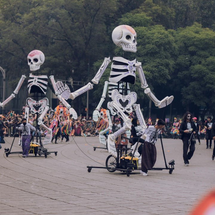 Plan en detalle: "Celebración del día de los muertos".